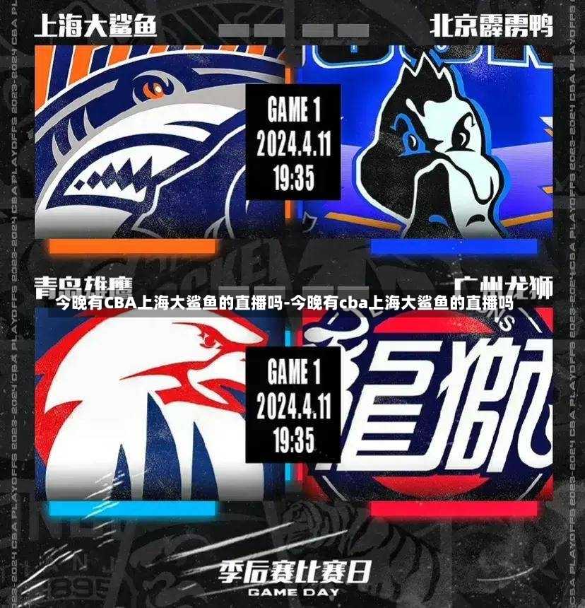 的比赛
